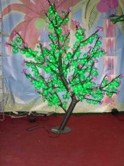 albero