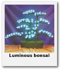 bonsai