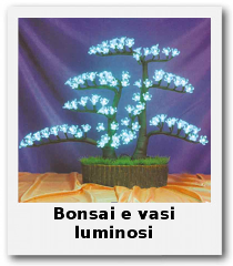 bonsai